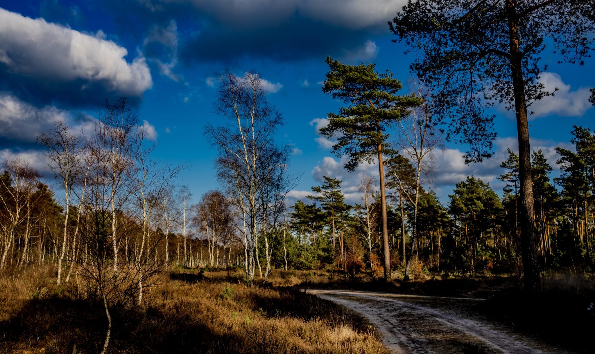 Rigide EU-natuurherstelwet dreigt te sneuvelen: mooi zo