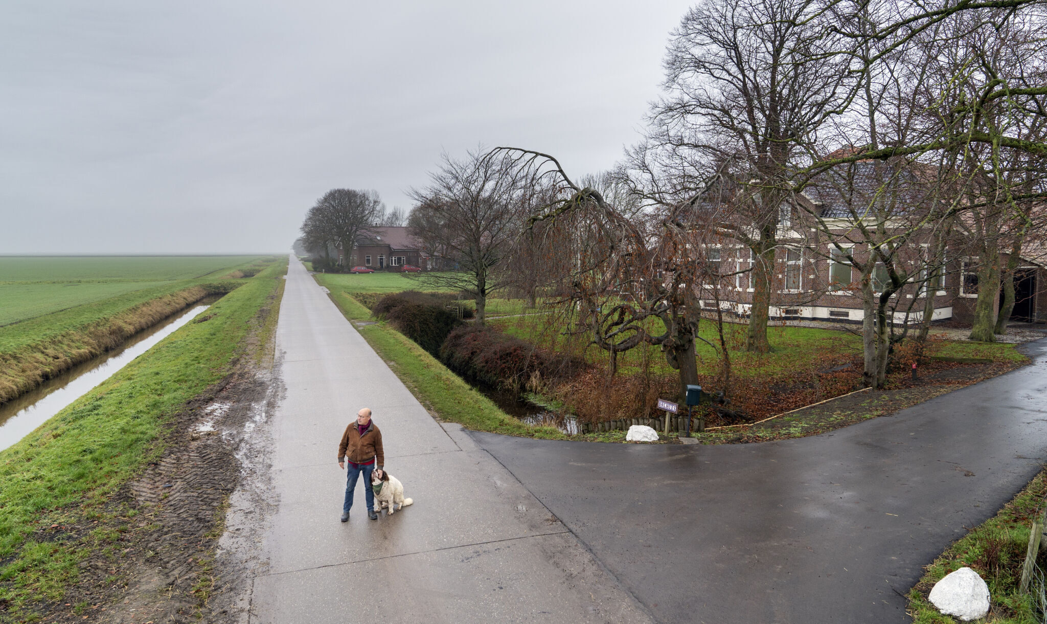 De pijn van het akkerland: liberale boeren die ‘naar Van der Plas gaan’