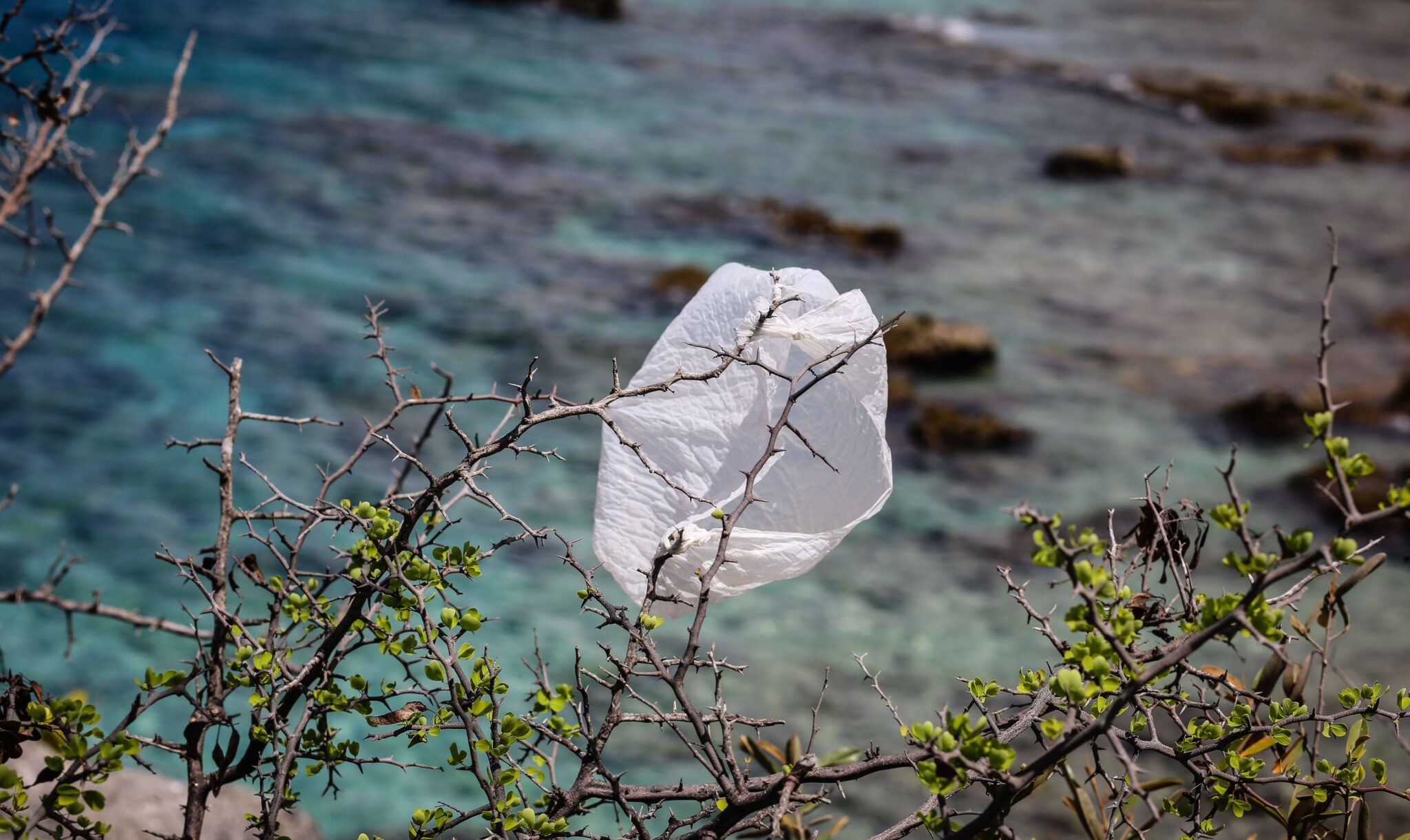 Plastic is gevaarlijk en geweldig tegelijk