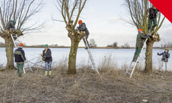 Vrijwilligerswerk onder druk door de vele regels